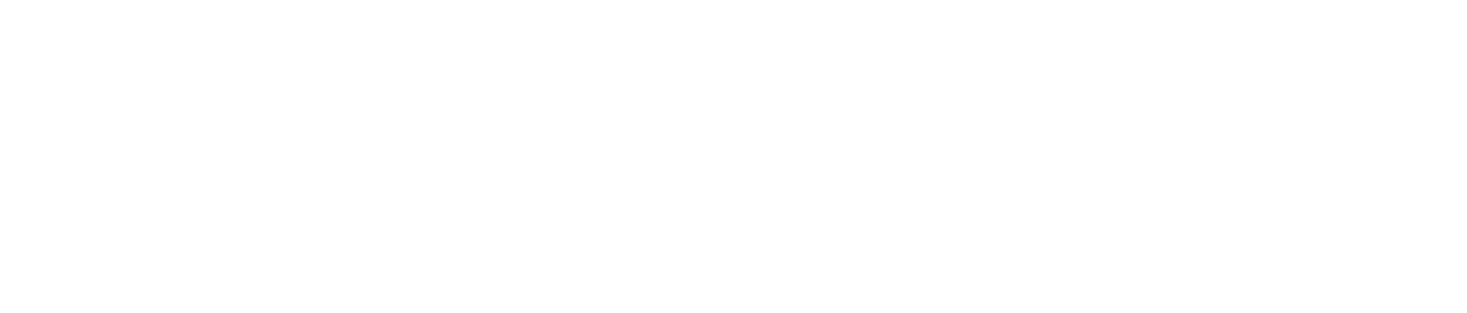 logo-fmz-wt-txt